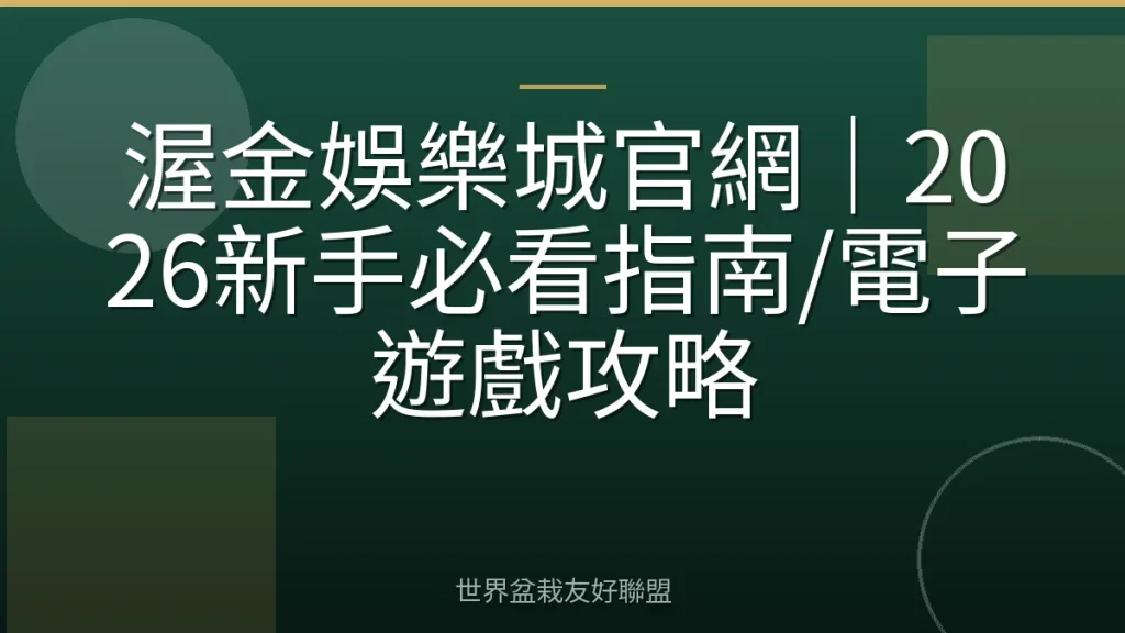 渥金娛樂城官網|2026新手必看指南/電子遊戲攻略