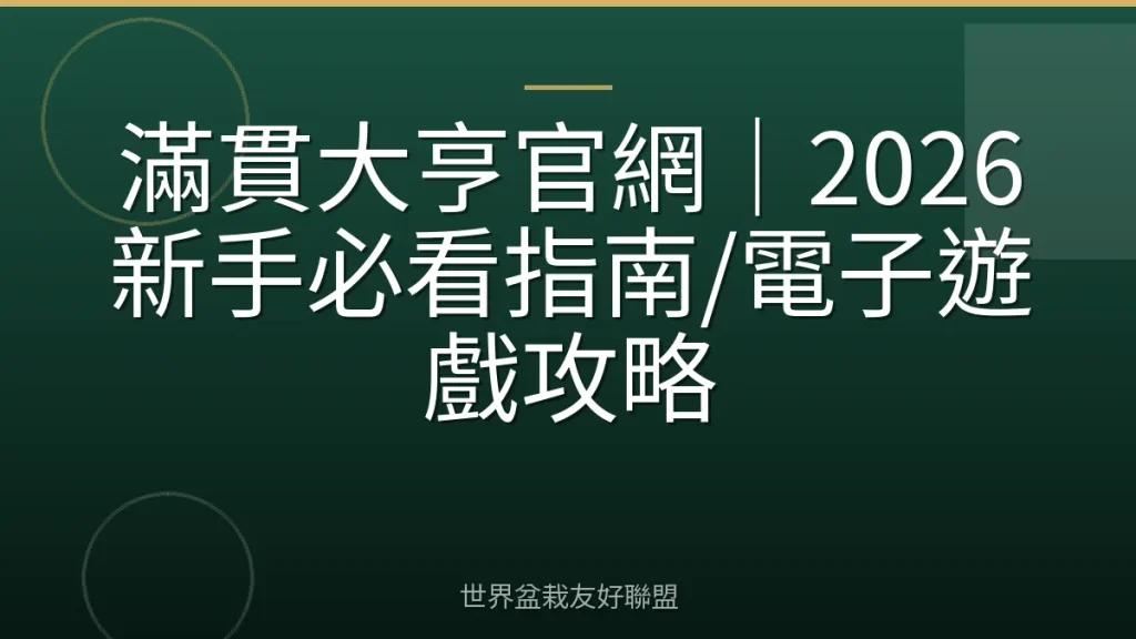 滿貫大亨官網｜2026新手必看指南/電子遊戲攻略