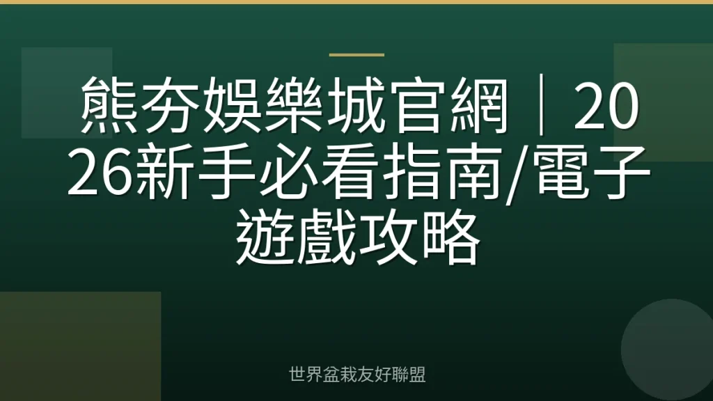 熊夯娛樂城官網|2026新手必看指南/電子遊戲攻略