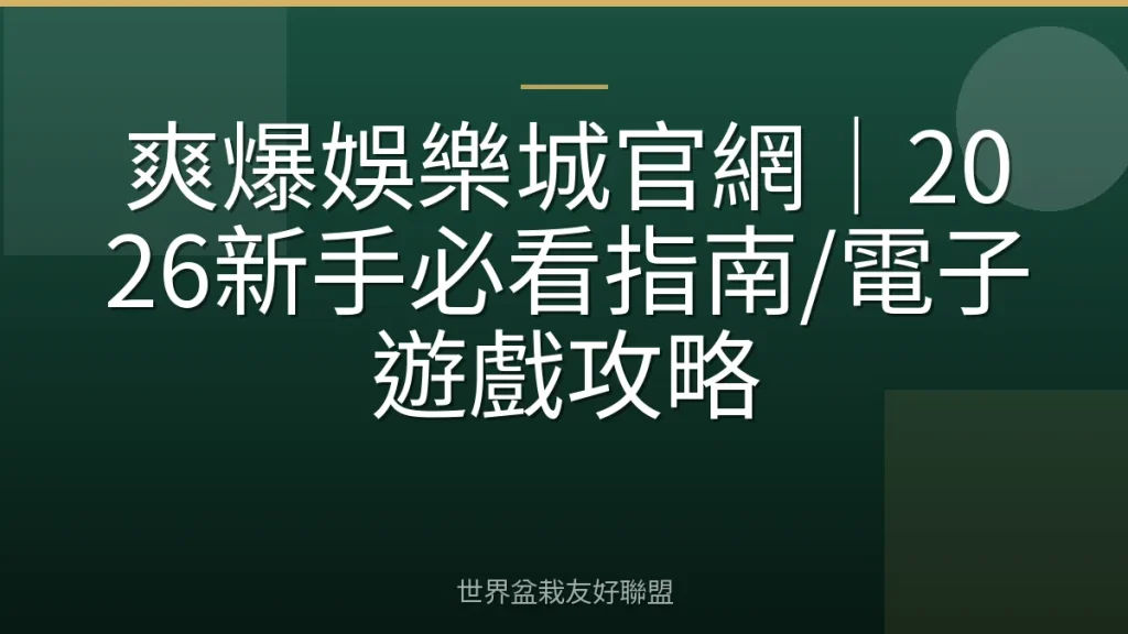 爽爆娛樂城官網｜2026新手必看指南/電子遊戲攻略