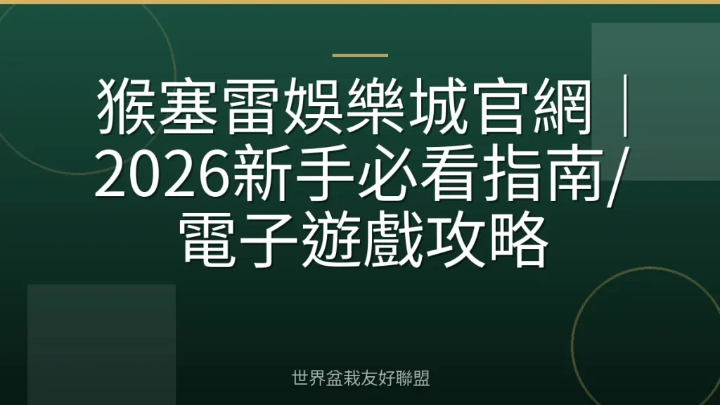 猴塞雷娛樂城官網|2026新手必看指南/電子遊戲攻略