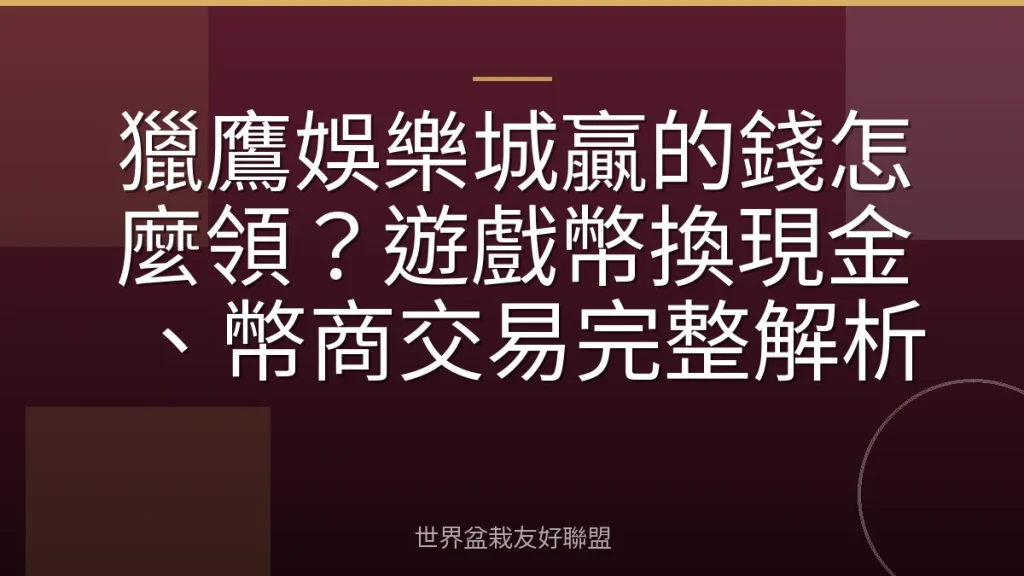 獵鷹娛樂城贏的錢怎麼領?遊戲幣換現金、幣商交易完整解析