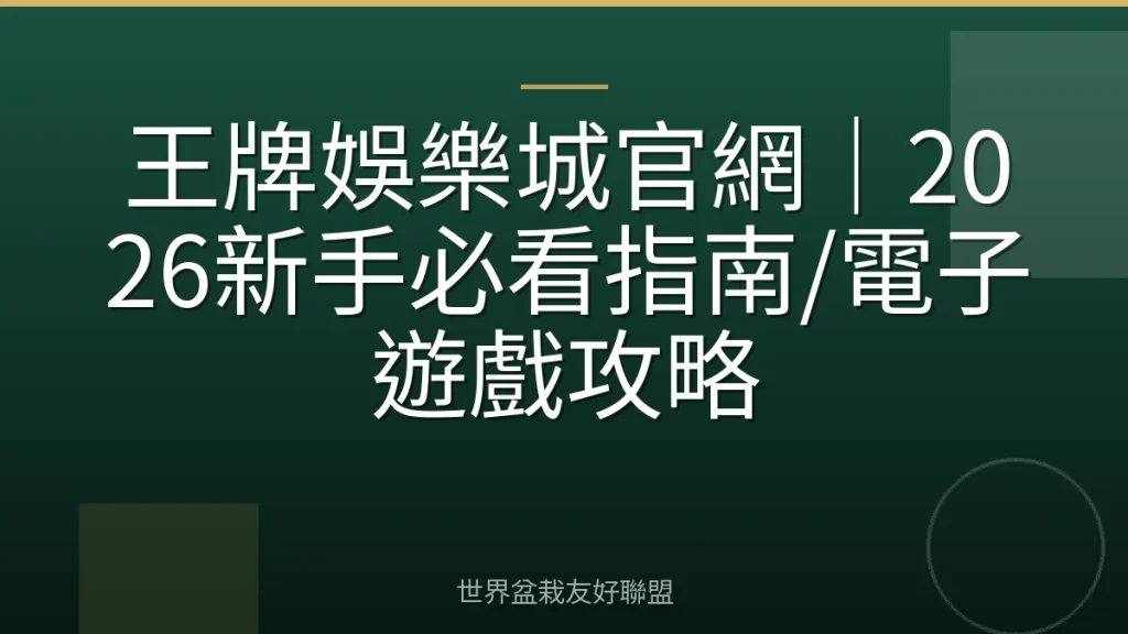 王牌娛樂城官網|2026新手必看指南/電子遊戲攻略