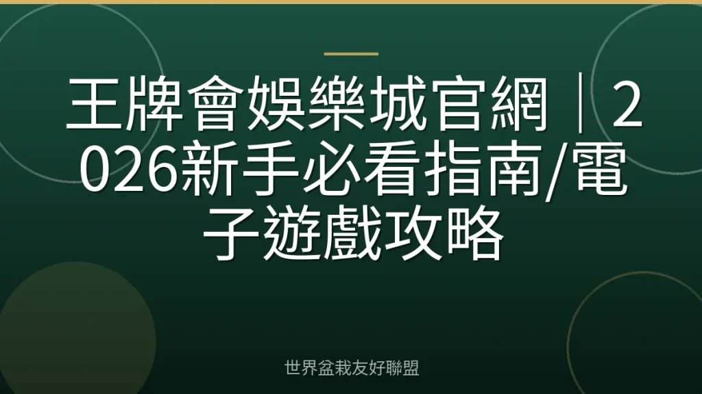 王牌會娛樂城官網|2026新手必看指南/電子遊戲攻略
