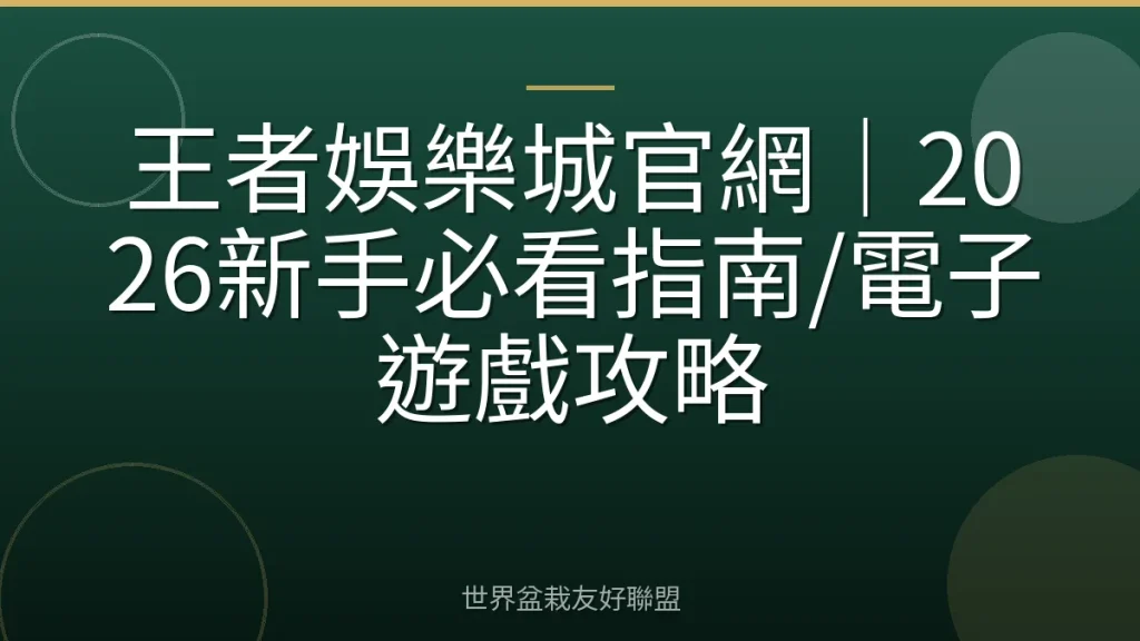 王者娛樂城官網|2026新手必看指南/電子遊戲攻略