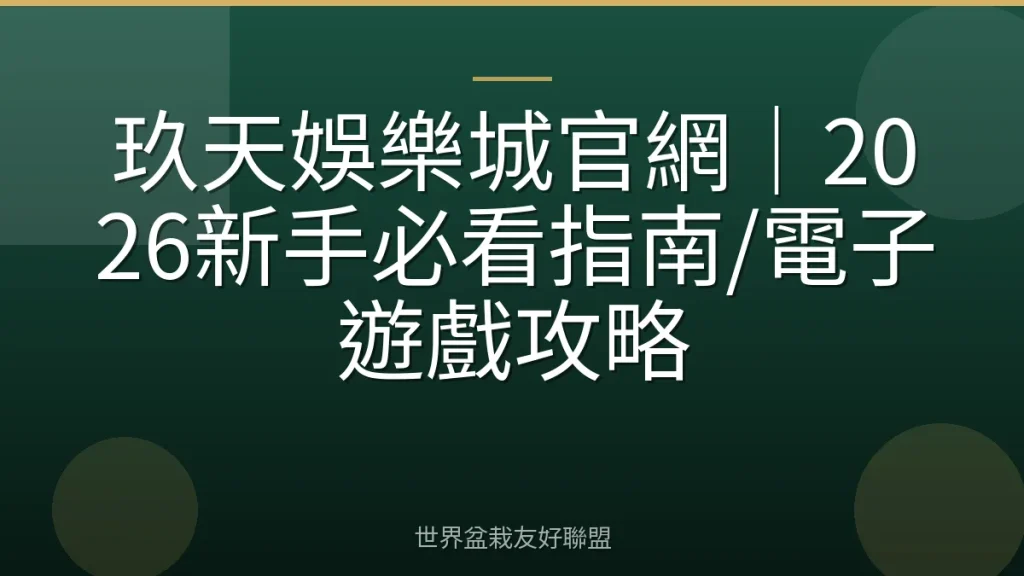 玖天娛樂城官網｜2026新手必看指南/電子遊戲攻略