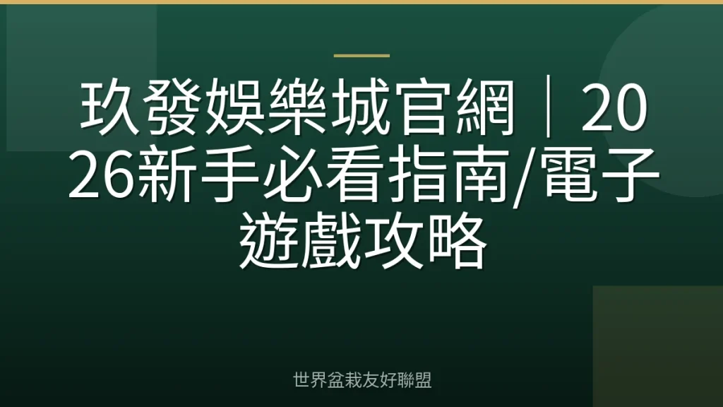 玖發娛樂城官網|2026新手必看指南/電子遊戲攻略