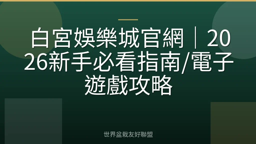 白宮娛樂城官網|2026新手必看指南/電子遊戲攻略