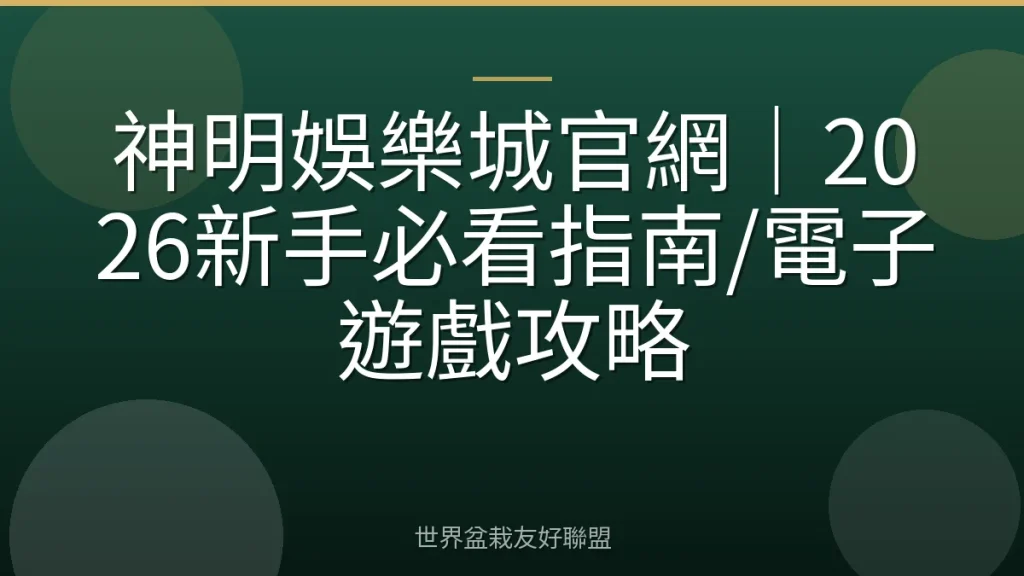 神明娛樂城官網|2026新手必看指南/電子遊戲攻略