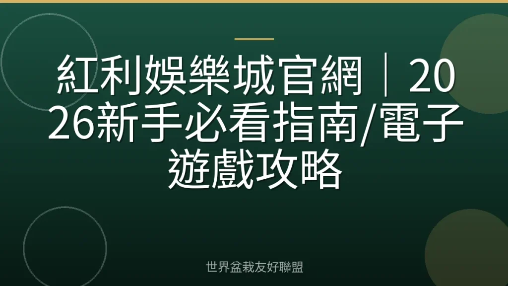紅利娛樂城官網|2026新手必看指南/電子遊戲攻略