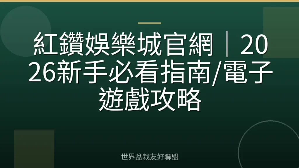 紅鑽娛樂城官網｜2026新手必看指南/電子遊戲攻略