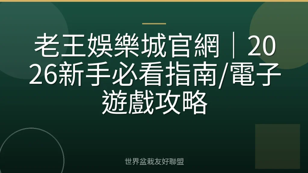 老王娛樂城官網|2026新手必看指南/電子遊戲攻略