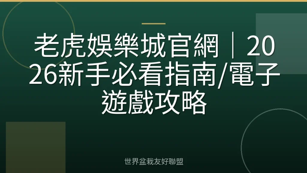 老虎娛樂城官網｜2026新手必看指南/電子遊戲攻略