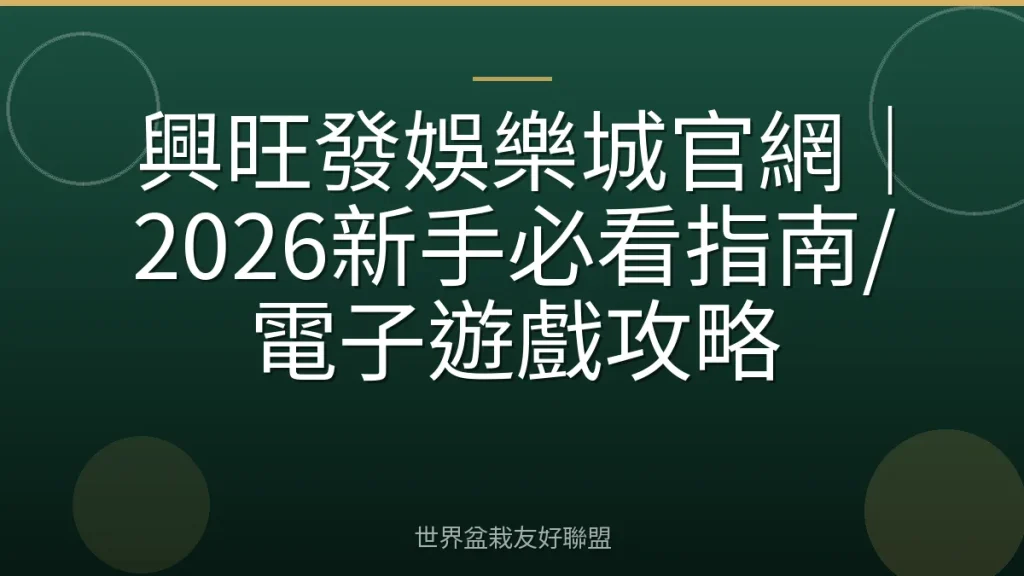 興旺發娛樂城官網|2026新手必看指南/電子遊戲攻略