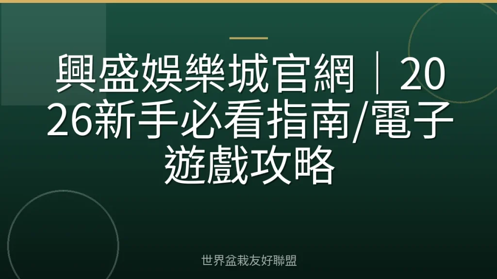 興盛娛樂城官網|2026新手必看指南/電子遊戲攻略
