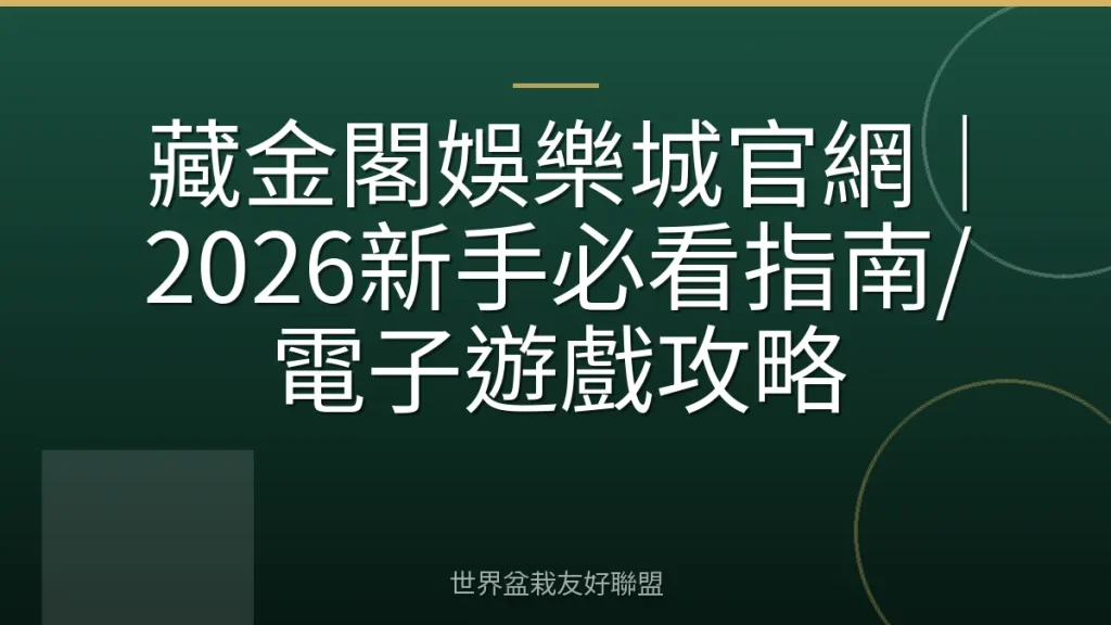藏金閣娛樂城官網|2026新手必看指南/電子遊戲攻略