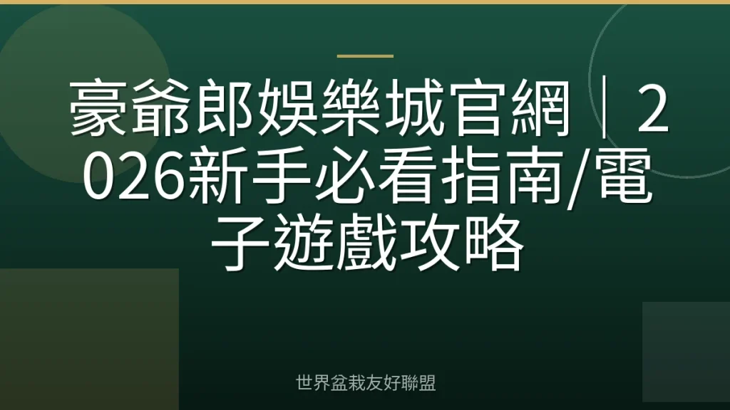 豪爺郎娛樂城官網｜2026新手必看指南/電子遊戲攻略