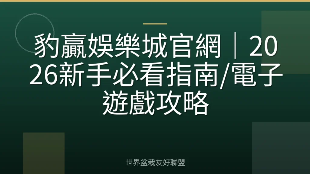 豹贏娛樂城官網|2026新手必看指南/電子遊戲攻略