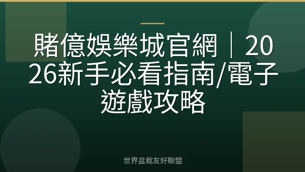賭億娛樂城官網｜2026新手必看指南/電子遊戲攻略