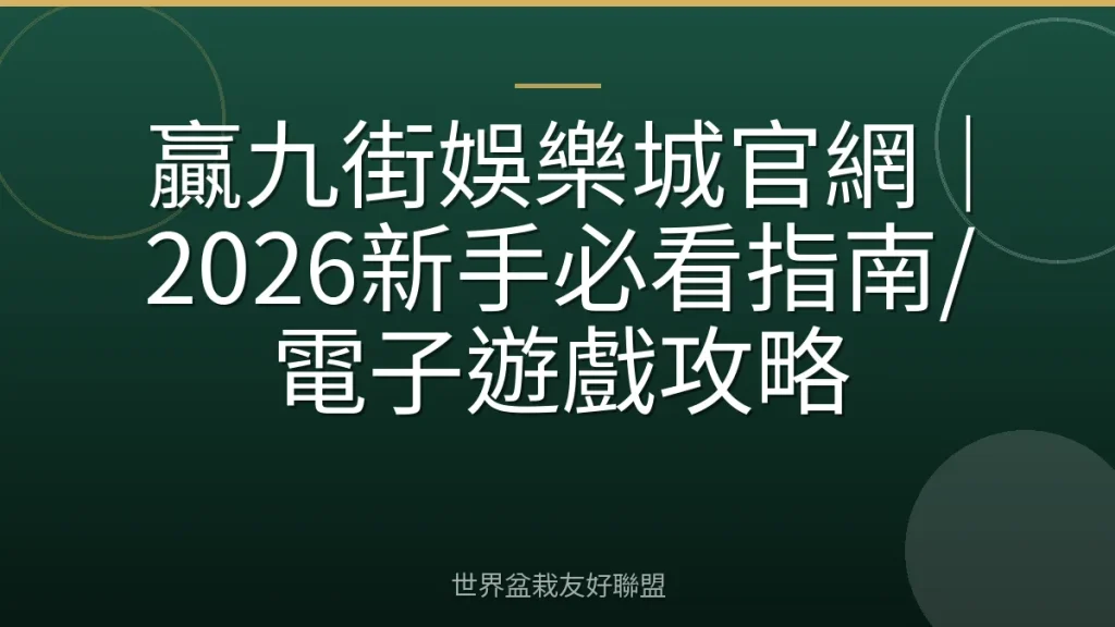 贏九街娛樂城官網|2026新手必看指南/電子遊戲攻略