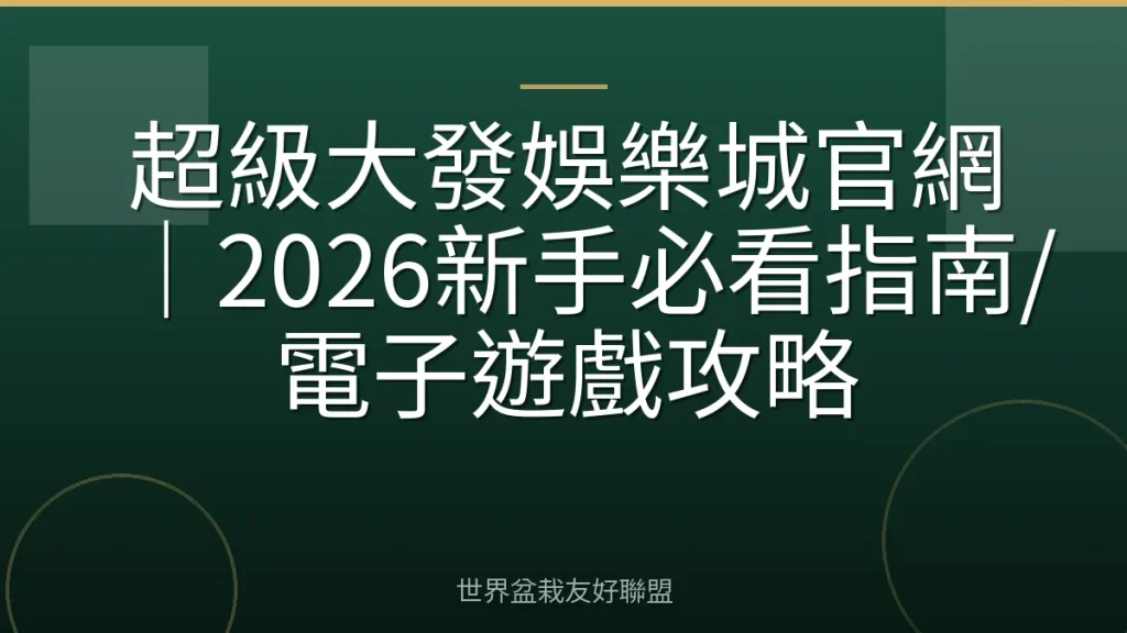 超級大發娛樂城官網｜2026新手必看指南/電子遊戲攻略