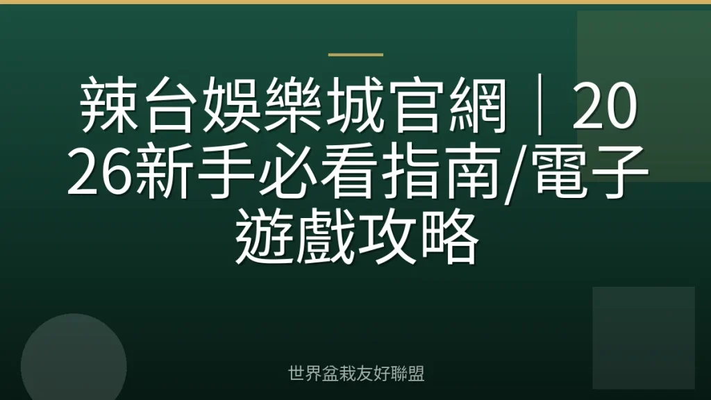 辣台娛樂城官網｜2026新手必看指南/電子遊戲攻略