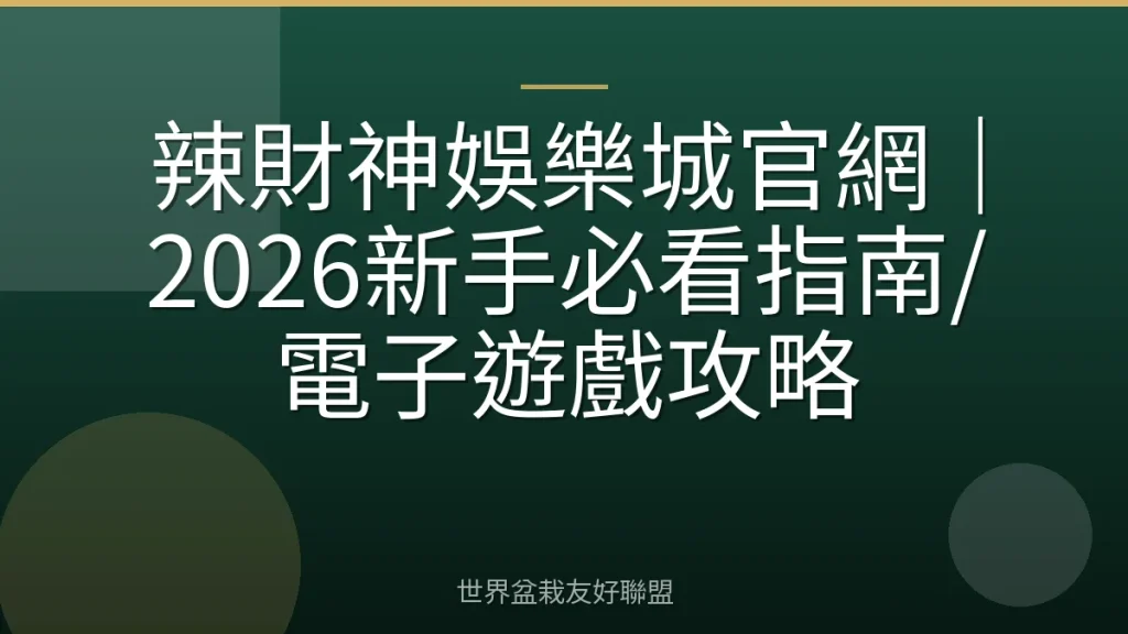 辣財神娛樂城官網｜2026新手必看指南/電子遊戲攻略