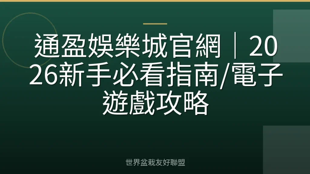 通盈娛樂城官網|2026新手必看指南/電子遊戲攻略