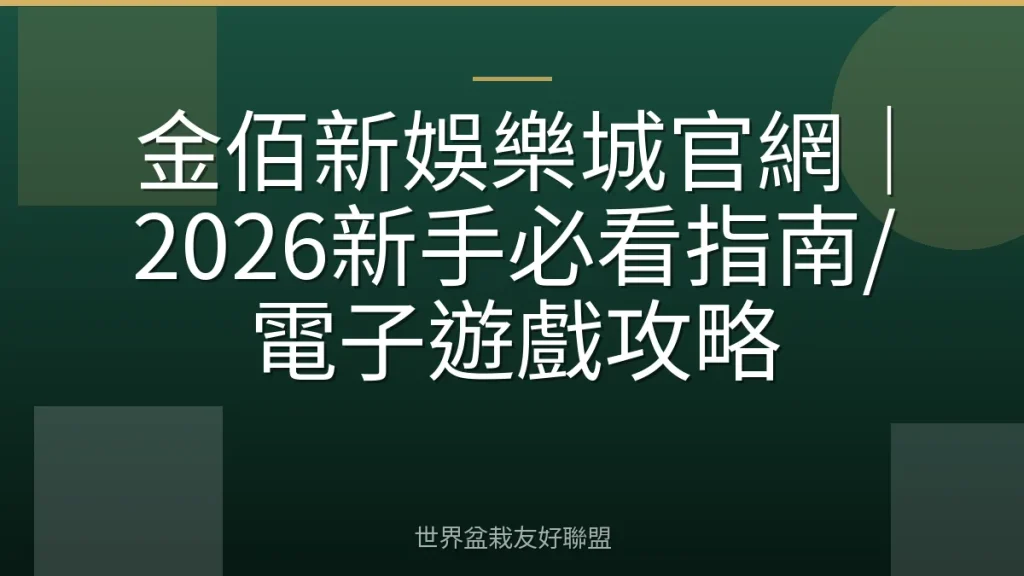 金佰新娛樂城官網|2026新手必看指南/電子遊戲攻略