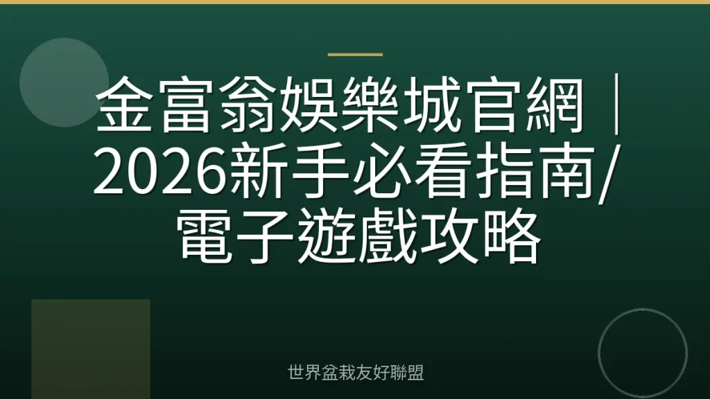 金富翁娛樂城官網｜2026新手必看指南/電子遊戲攻略