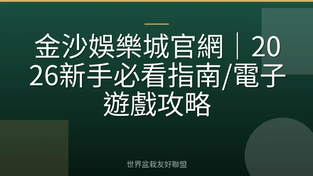 金沙娛樂城官網|2026新手必看指南/電子遊戲攻略