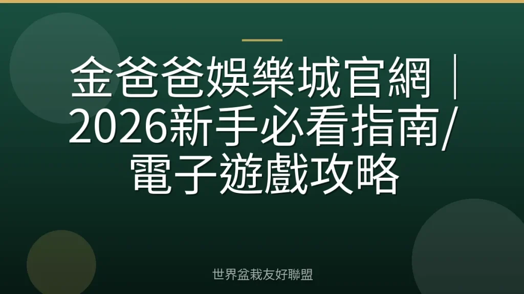 金爸爸娛樂城官網|2026新手必看指南/電子遊戲攻略