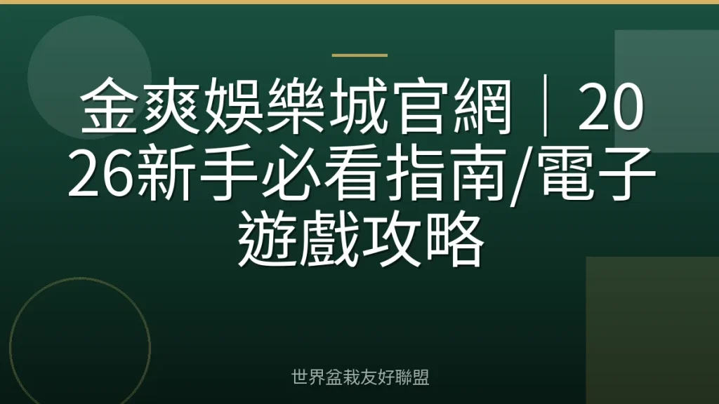 金爽娛樂城官網｜2026新手必看指南/電子遊戲攻略