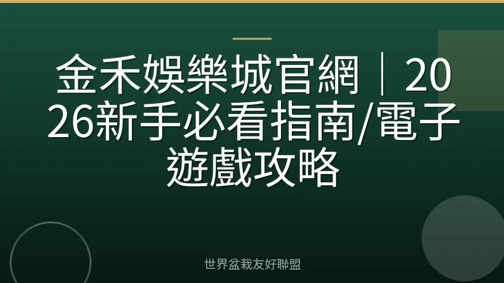 金禾娛樂城官網|2026新手必看指南/電子遊戲攻略