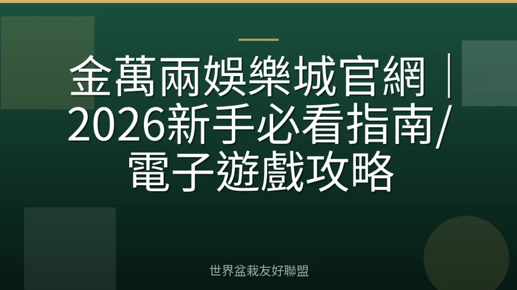 金萬兩娛樂城官網｜2026新手必看指南/電子遊戲攻略