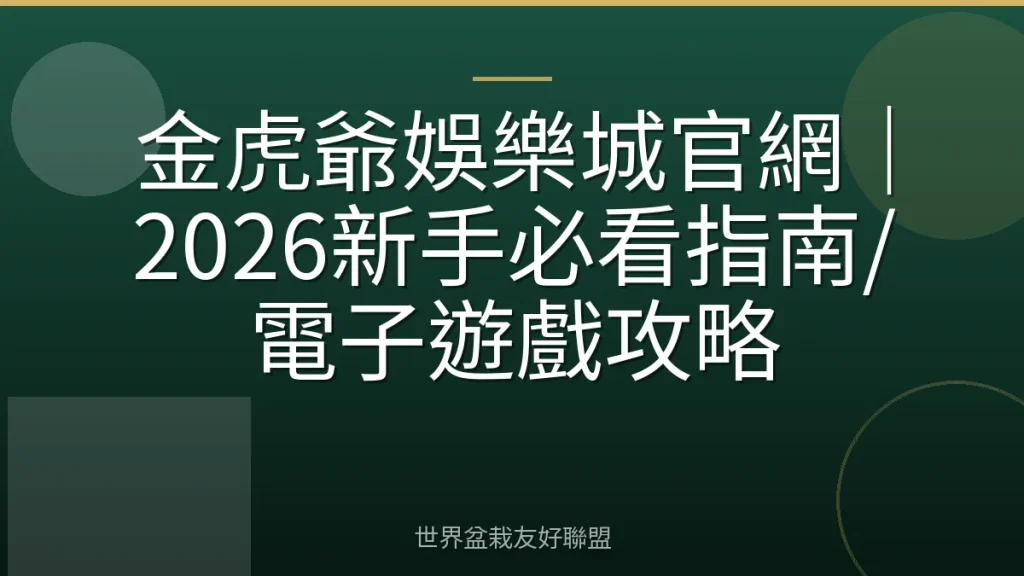 金虎爺娛樂城官網｜2026新手必看指南/電子遊戲攻略