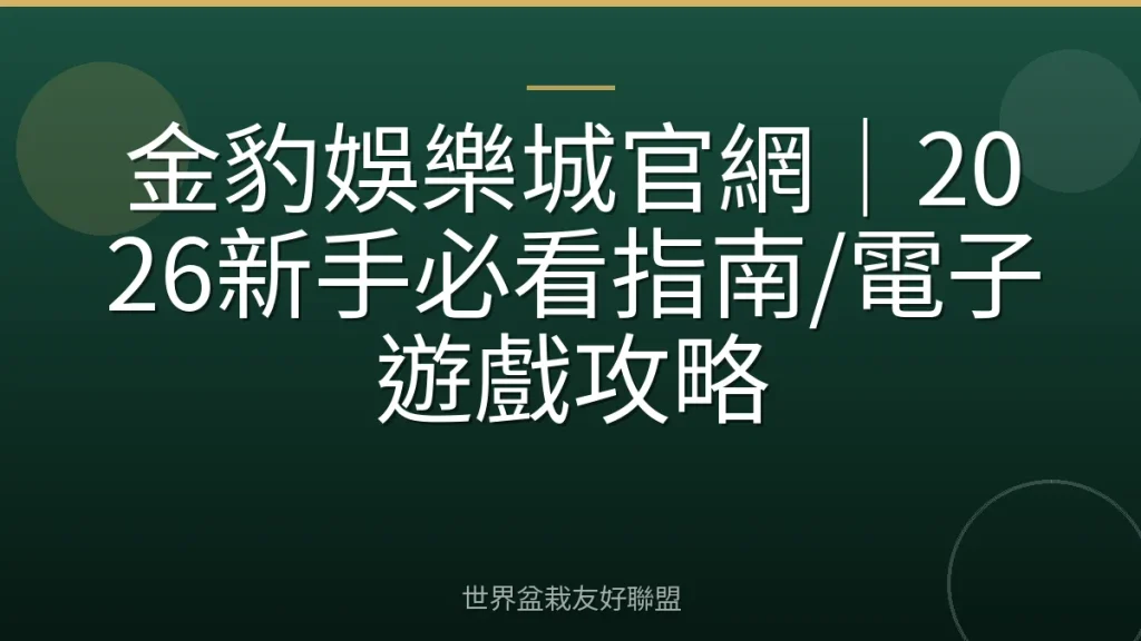 金豹娛樂城官網｜2026新手必看指南/電子遊戲攻略