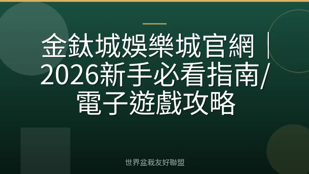 金鈦城娛樂城官網｜2026新手必看指南/電子遊戲攻略