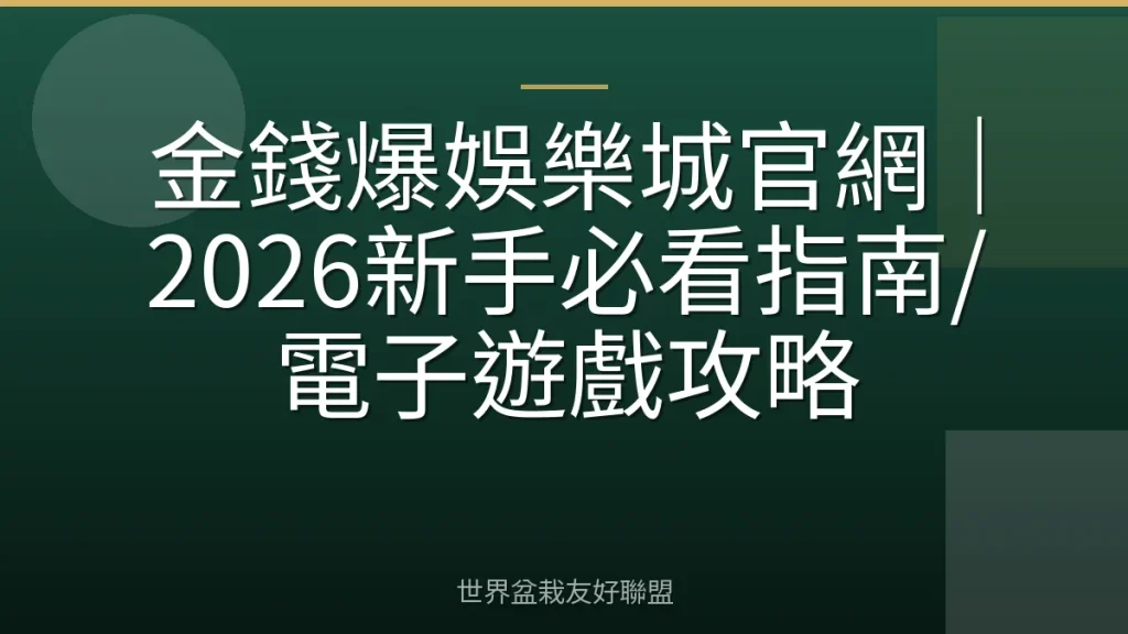 金錢爆娛樂城官網|2026新手必看指南/電子遊戲攻略
