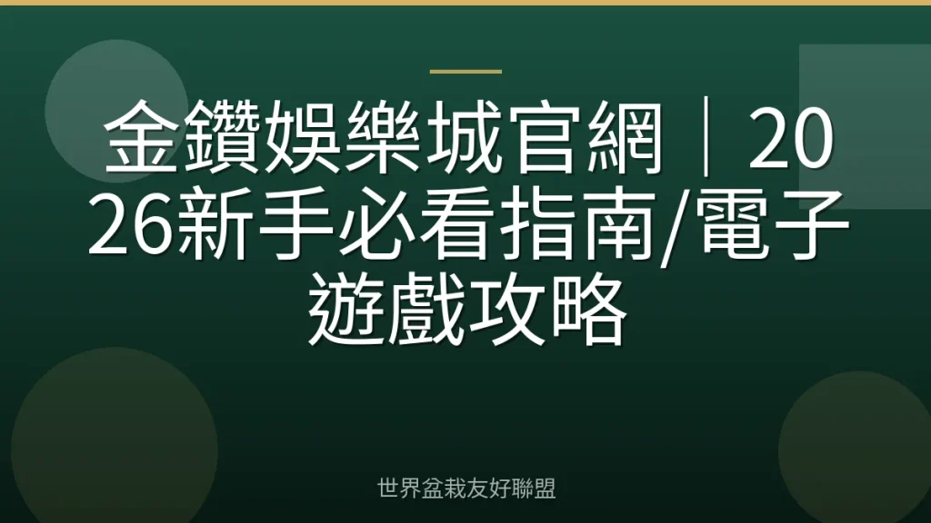 金鑽娛樂城官網|2026新手必看指南/電子遊戲攻略