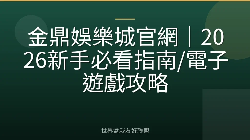 金鼎娛樂城官網|2026新手必看指南/電子遊戲攻略