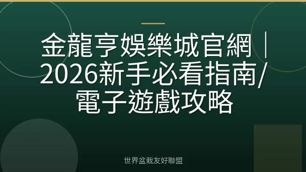 金龍亨娛樂城官網|2026新手必看指南/電子遊戲攻略