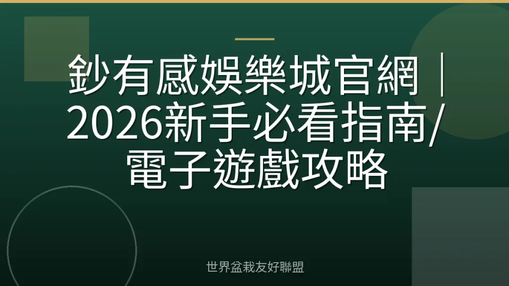 鈔有感娛樂城官網｜2026新手必看指南/電子遊戲攻略