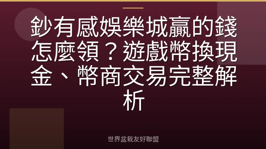 鈔有感娛樂城贏的錢怎麼領?遊戲幣換現金、幣商交易完整解析