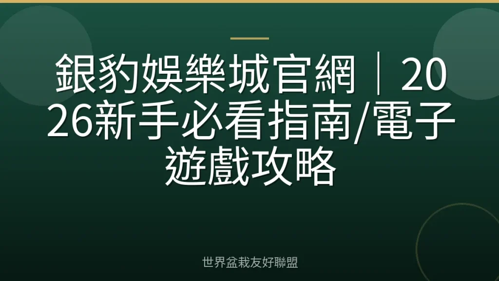 銀豹娛樂城官網|2026新手必看指南/電子遊戲攻略