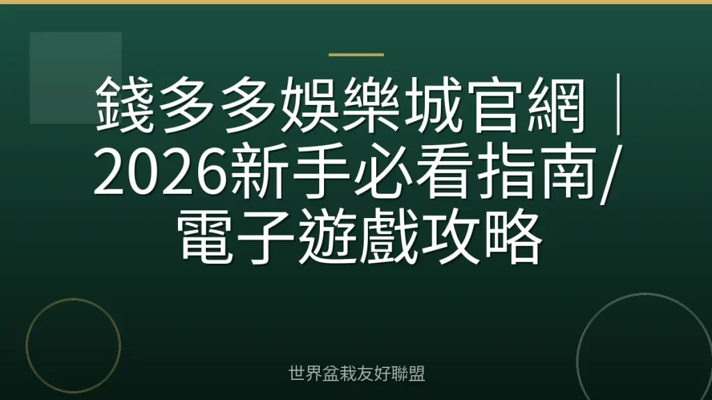 錢多多娛樂城官網｜2026新手必看指南/電子遊戲攻略