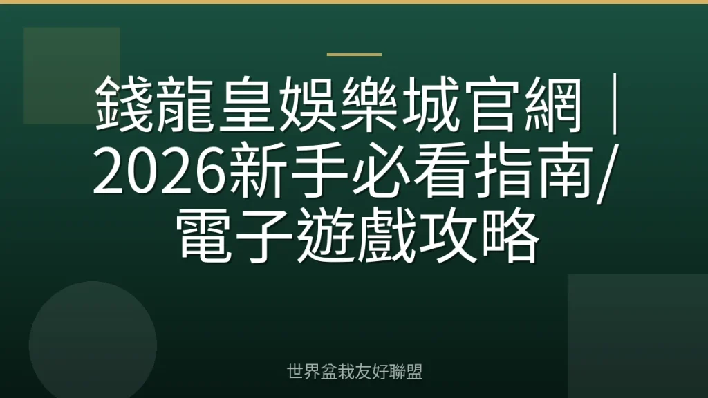 錢龍皇娛樂城官網|2026新手必看指南/電子遊戲攻略