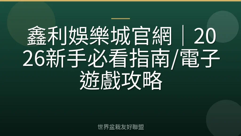 鑫利娛樂城官網|2026新手必看指南/電子遊戲攻略
