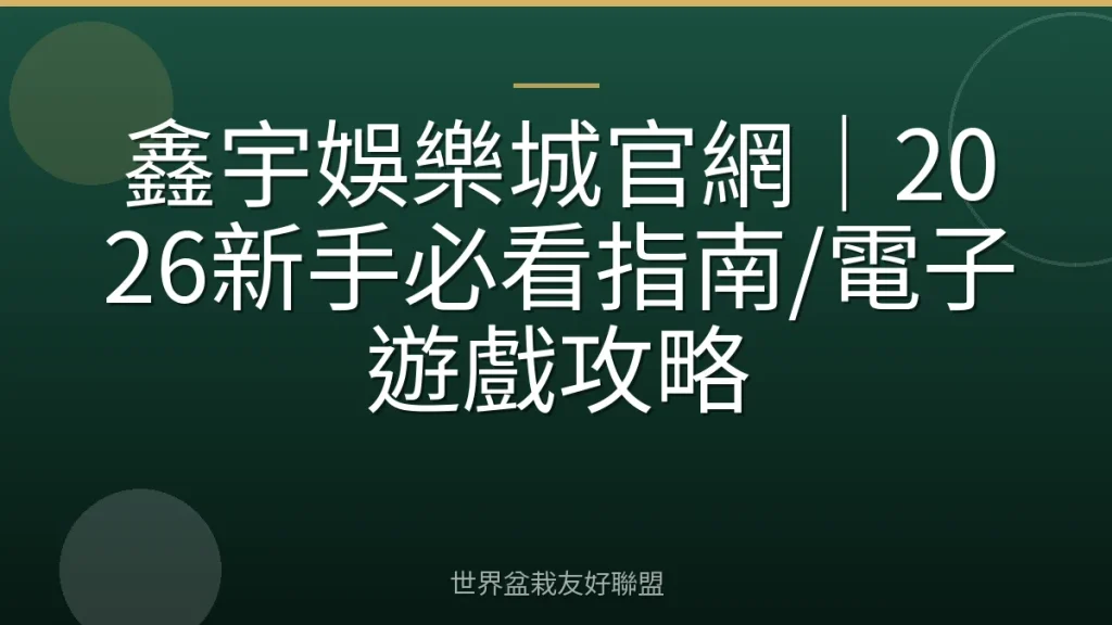 鑫宇娛樂城官網|2026新手必看指南/電子遊戲攻略