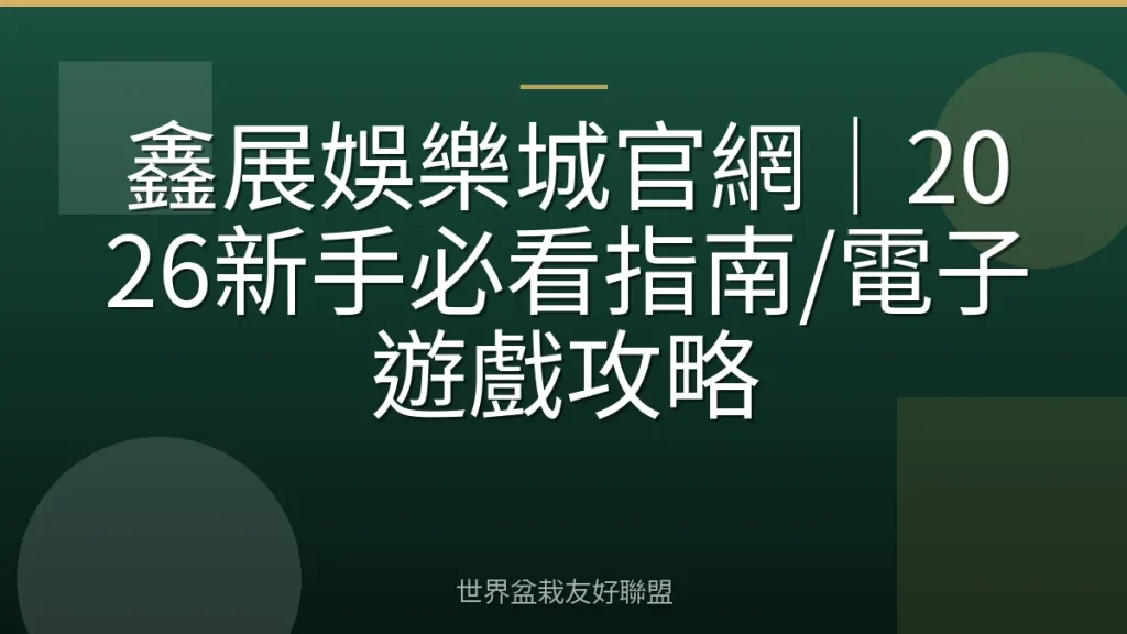 鑫展娛樂城官網｜2026新手必看指南/電子遊戲攻略